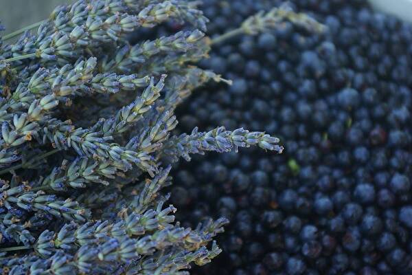 Homemade lavender-blueberry wine