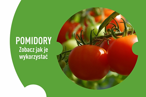 Conserves de tomates