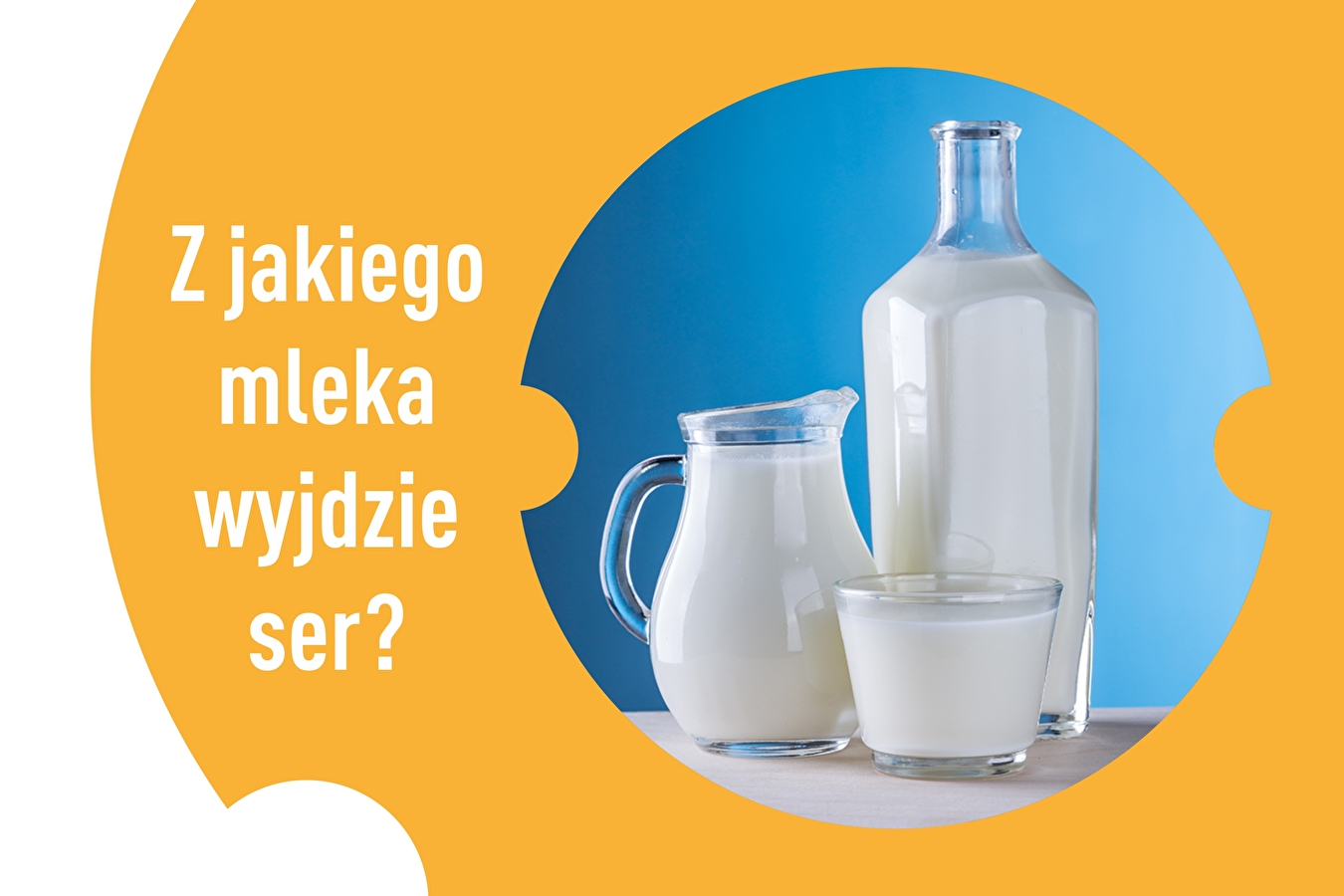 Quel lait pour faire du fromage ?