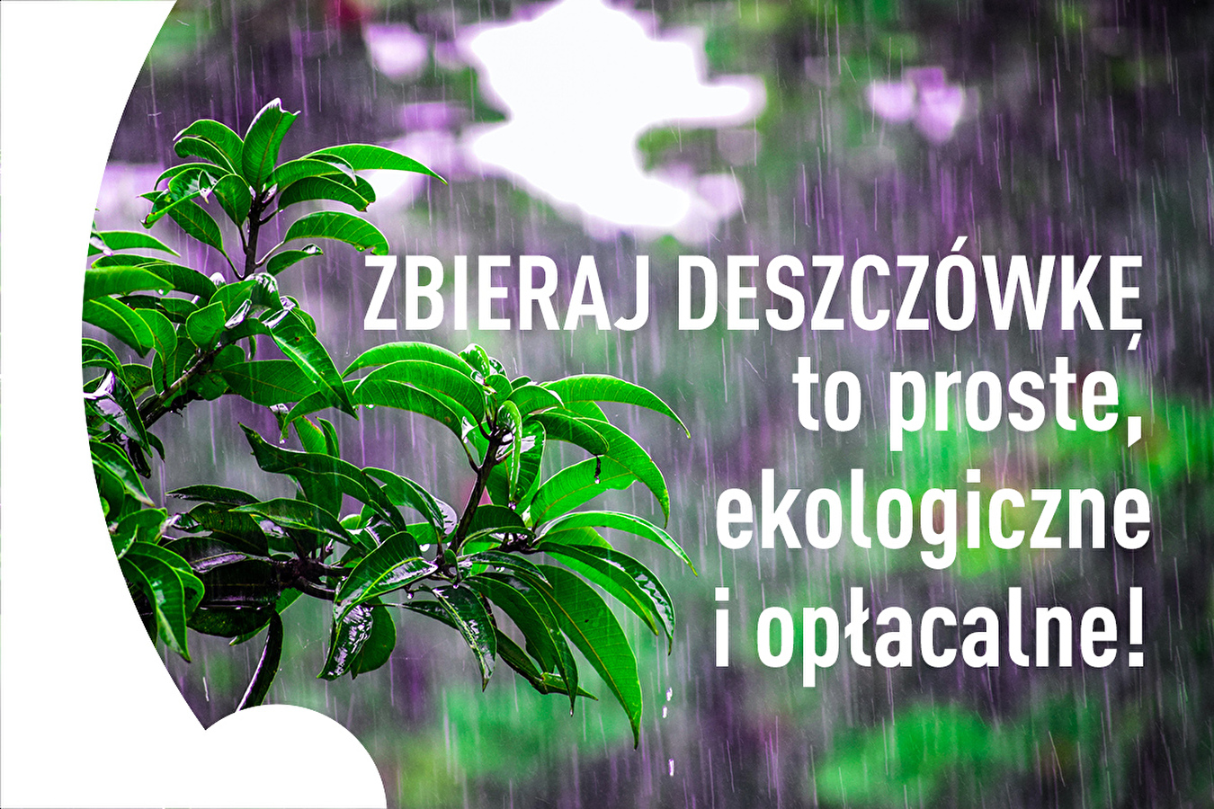 Collectez l'eau de pluie - c'est simple, écologique et rentable !
