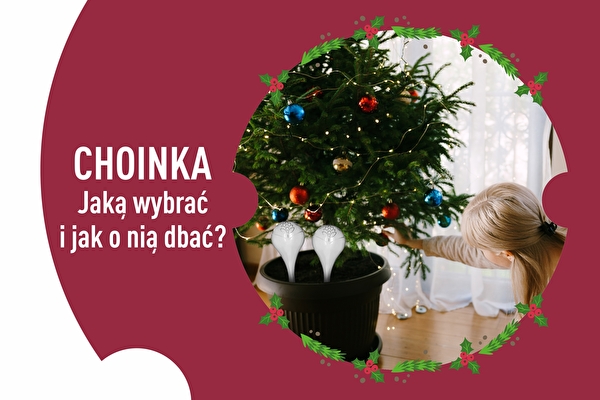 Sapin de Noël – lequel choisir et comment en prendre soin ?