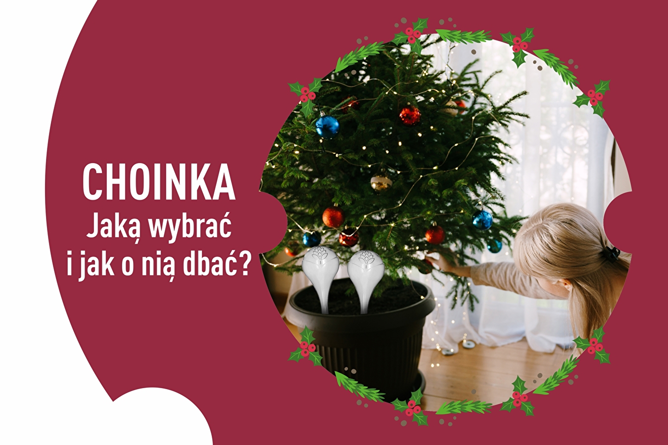 Sapin de Noël – lequel choisir et comment en prendre soin ?
