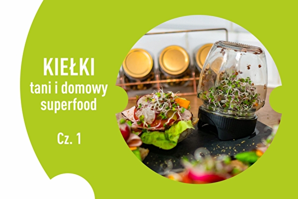 Spruiten – goedkoop en huisgemaakt superfood! Deel 1